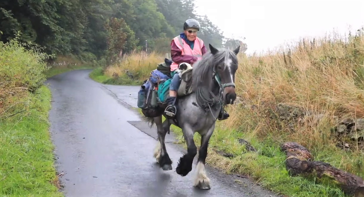 Woman treks 600 miles with horse and dog