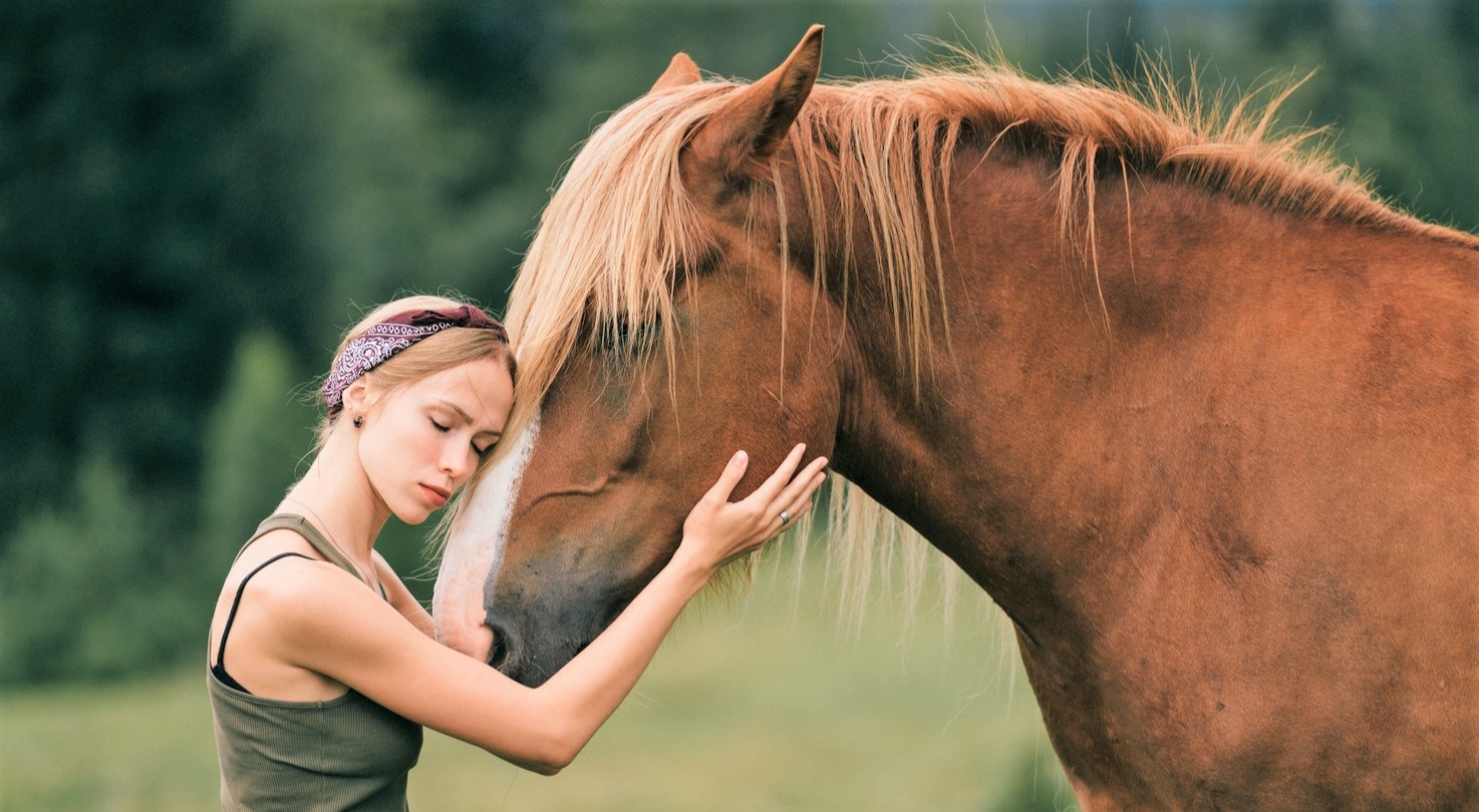 Do horses miss their owners?