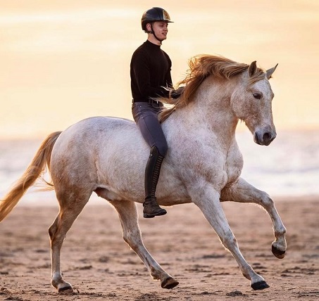 Jesse Drent bareback horse riding on a beach