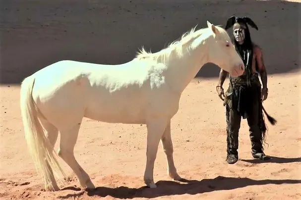Silver, horse from The Lone Ranger movie