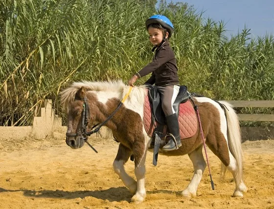 Small young boy riding a Shetland Pony in a sand ménage
