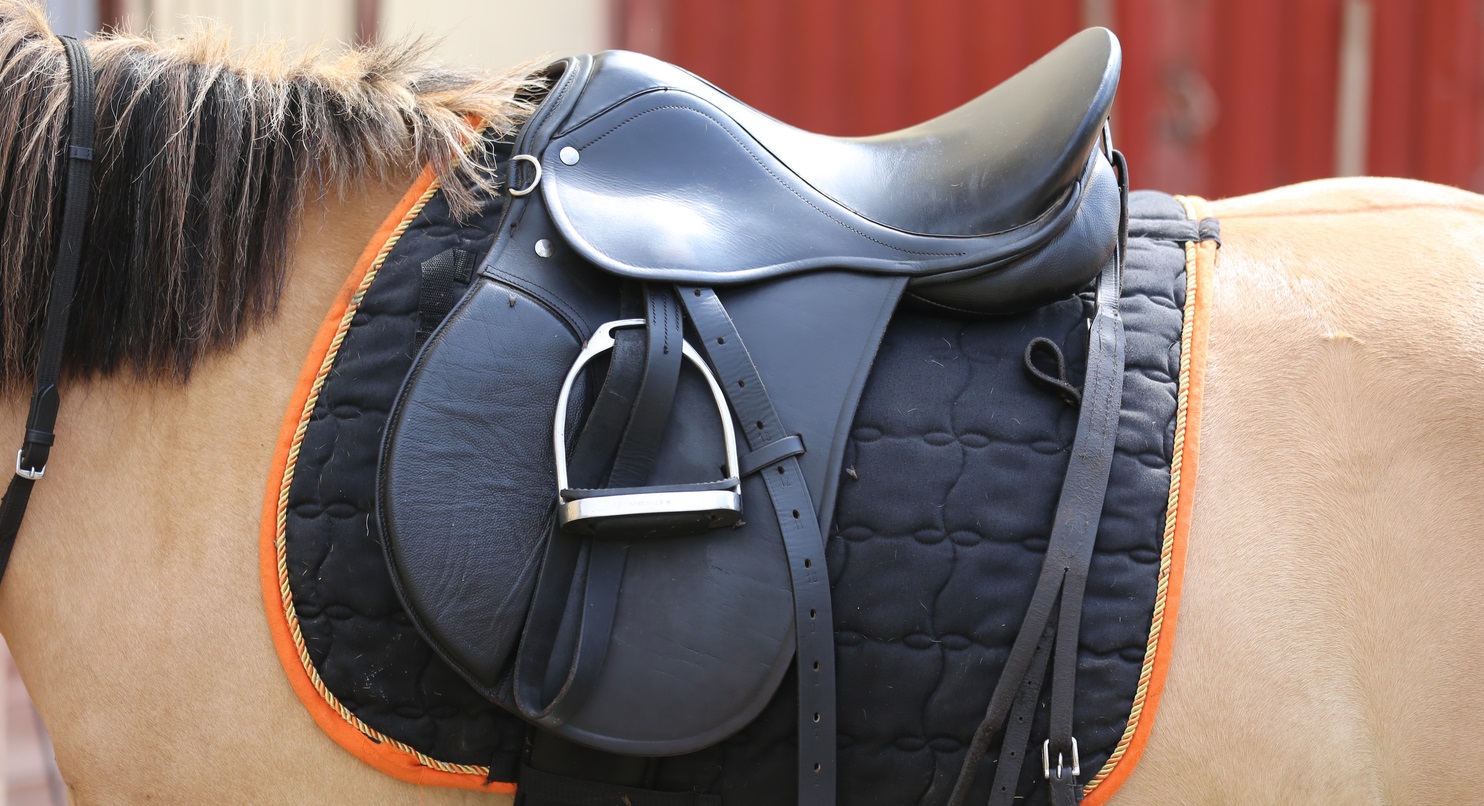 8 Best Vegan and Synthetic Saddles for Vegan Horse Riders