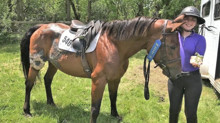 Burnt horse wins blue ribbon and horse show