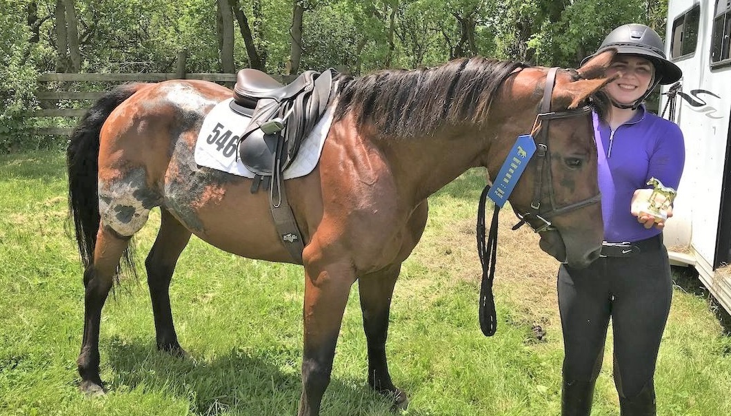 Burnt horse wins blue ribbon and horse show