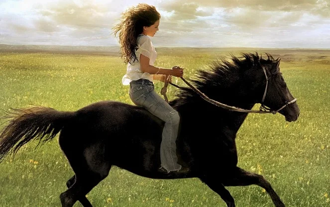 Horse from the Flicka movie