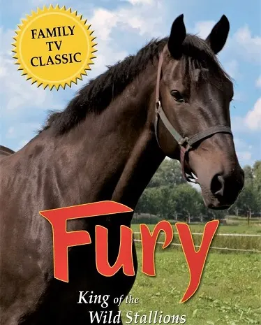 Fury, horse from the movie Fury King of Wild Stallions