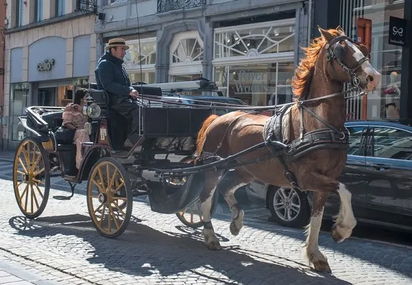 Horse pulling a cart in a street idiom