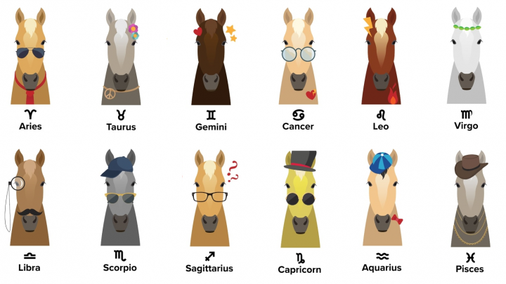12 horse zodiac signs and their meanings