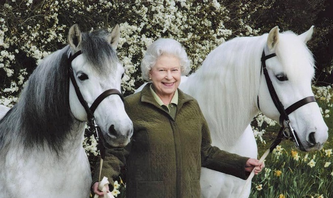 Queen Elizabeth with two horses