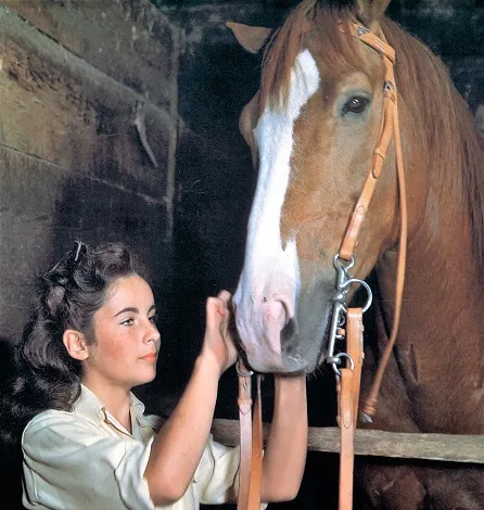The Pie horse from National Velvet movie and Elizabeth Taylor