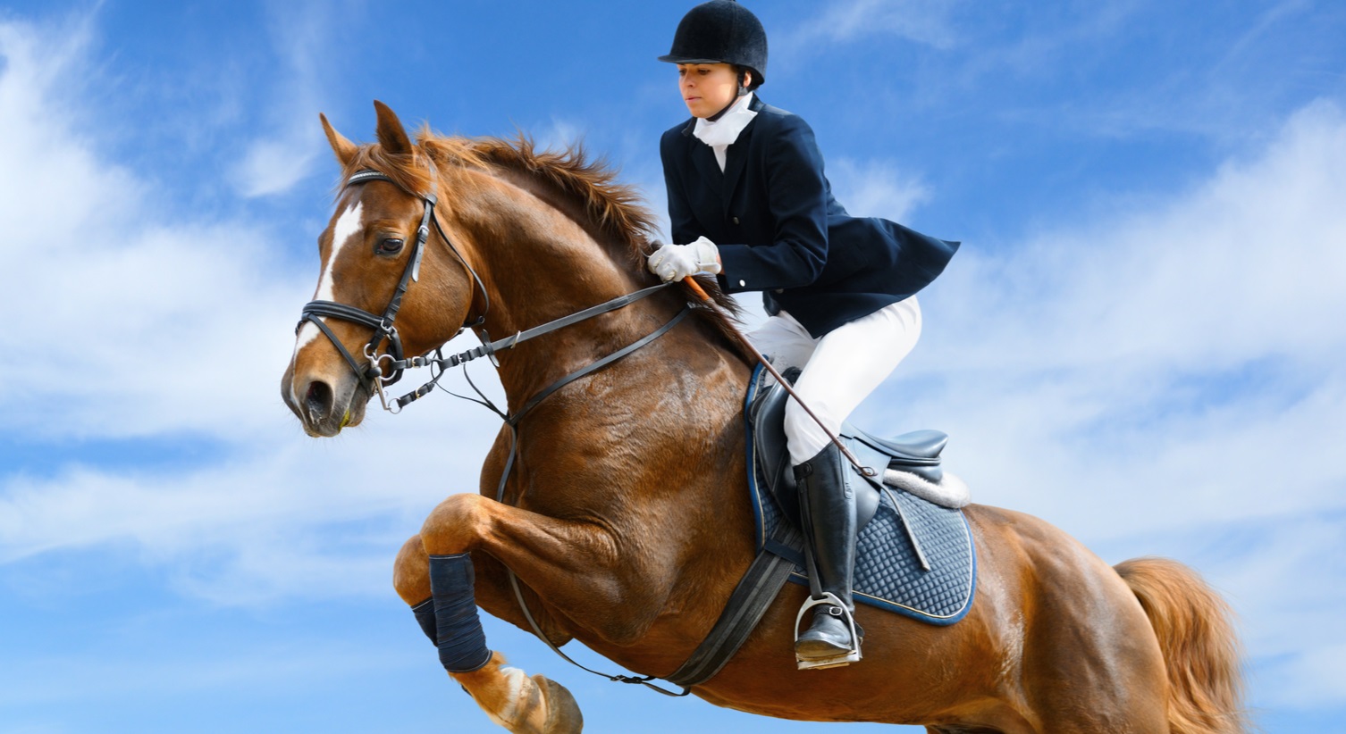 Traits good horse riders have