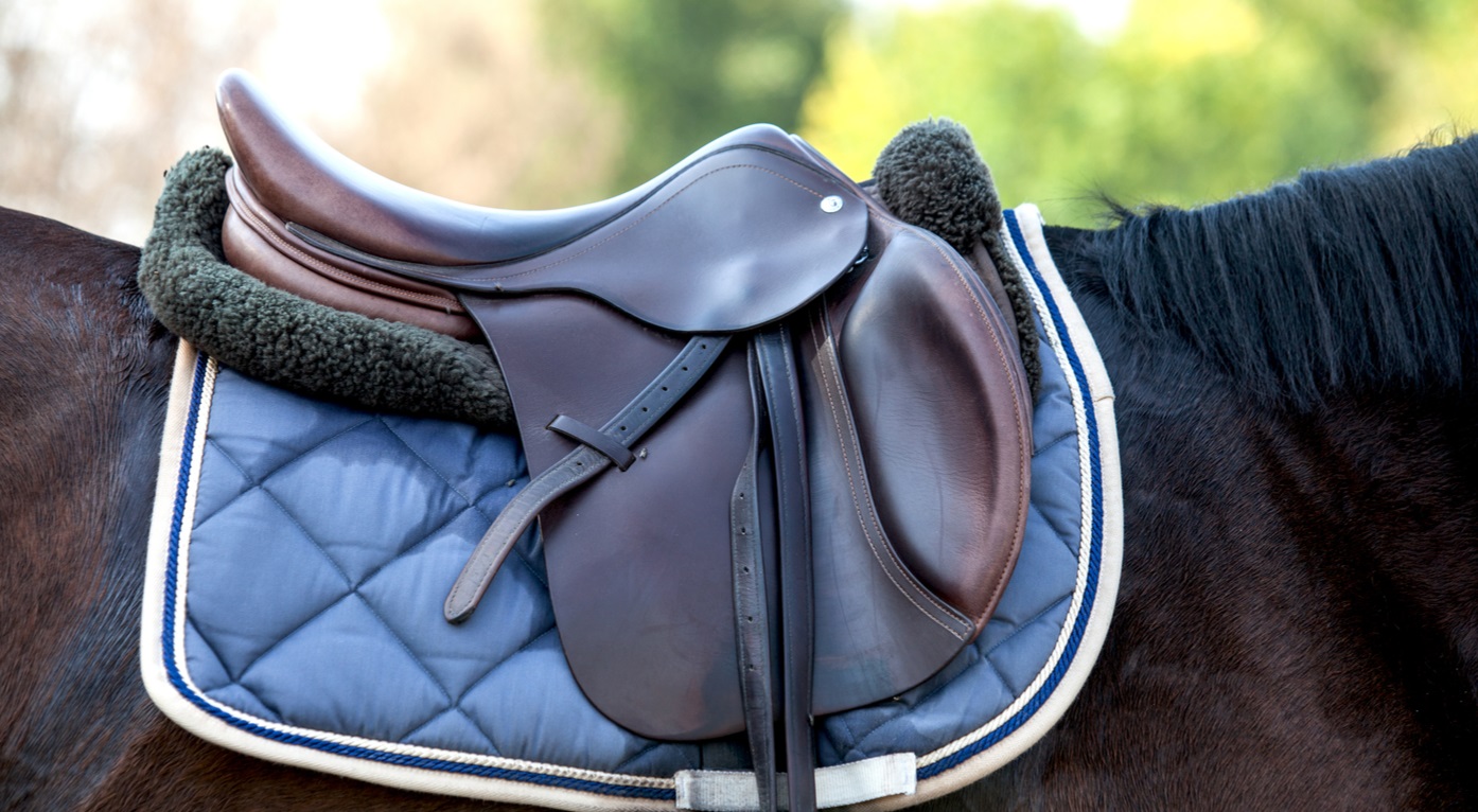 Best Treeless saddles for horse riders