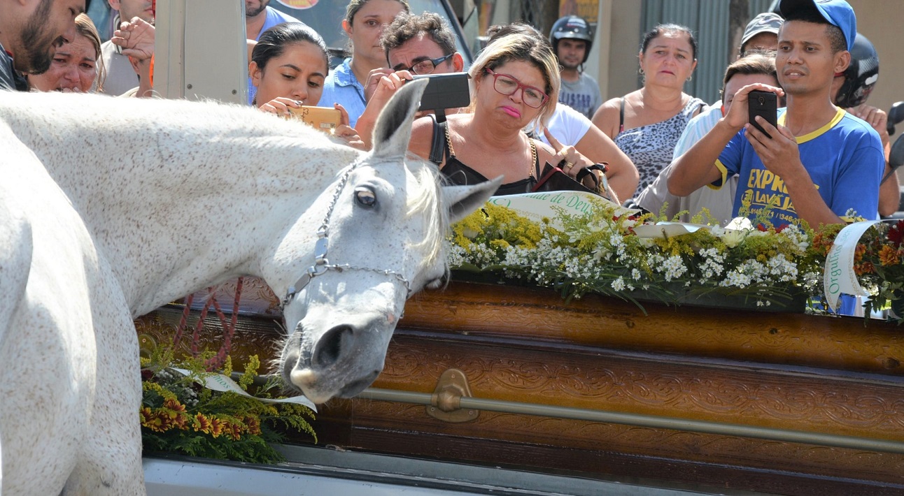 Horse Mourns Owner's Death By Laying His Head On The Casket