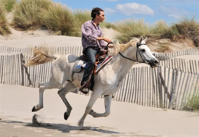Man riding a grey Arabian horse through sand dunes at a beach