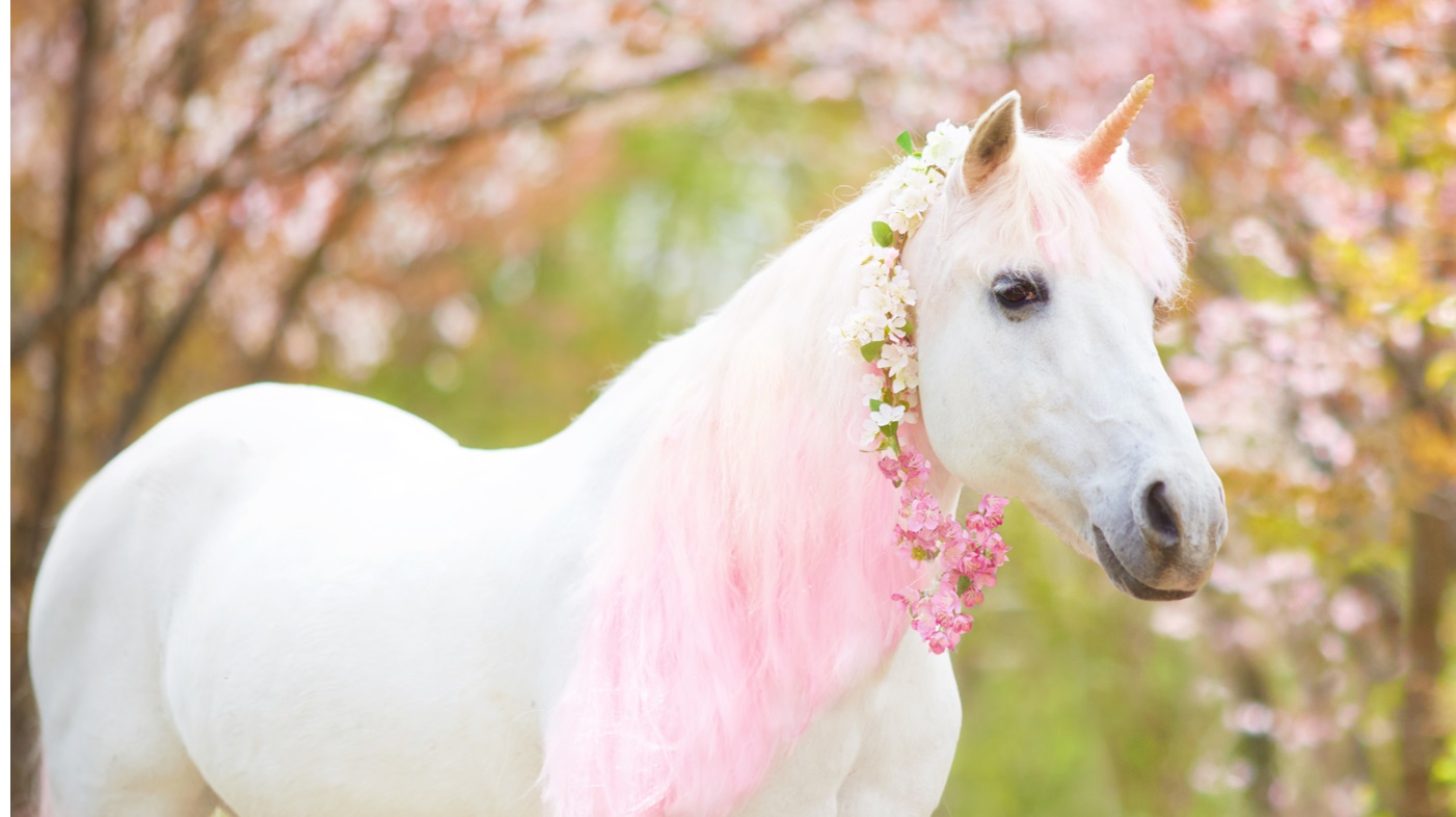 21 Unicorn facts with a unicorn standing in a blossoming forest