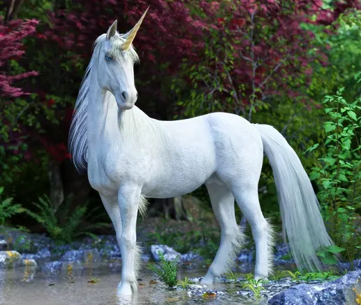 Unicorn standing in a pool in a forest