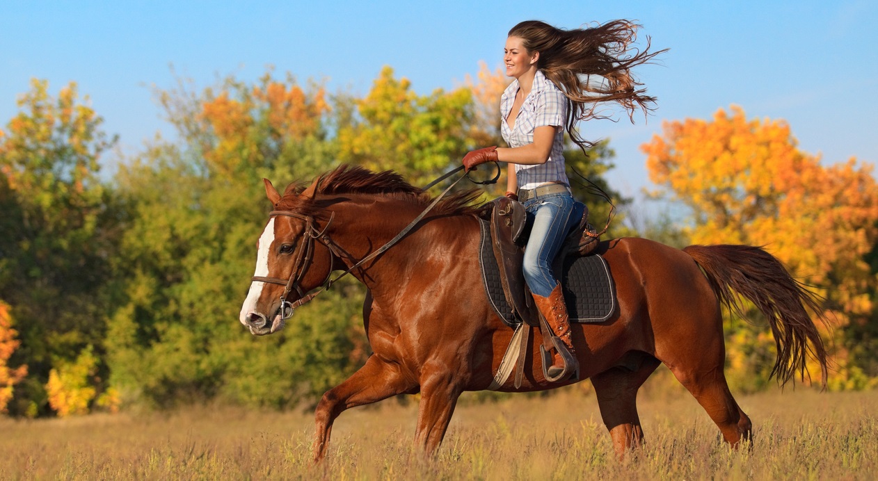10 Best Country Songs About Horses