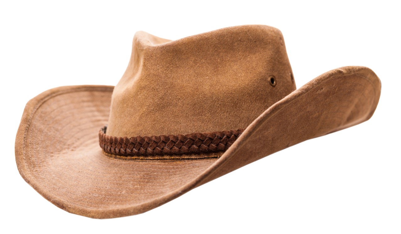 cowboy hat sweatband