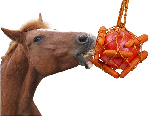 Shires Equine Horse Carrot Ball Feeder Play Toy Fun Entertainment 