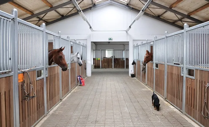 Indoor horse stable yard