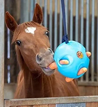 Shires Carrot Ball For Horses