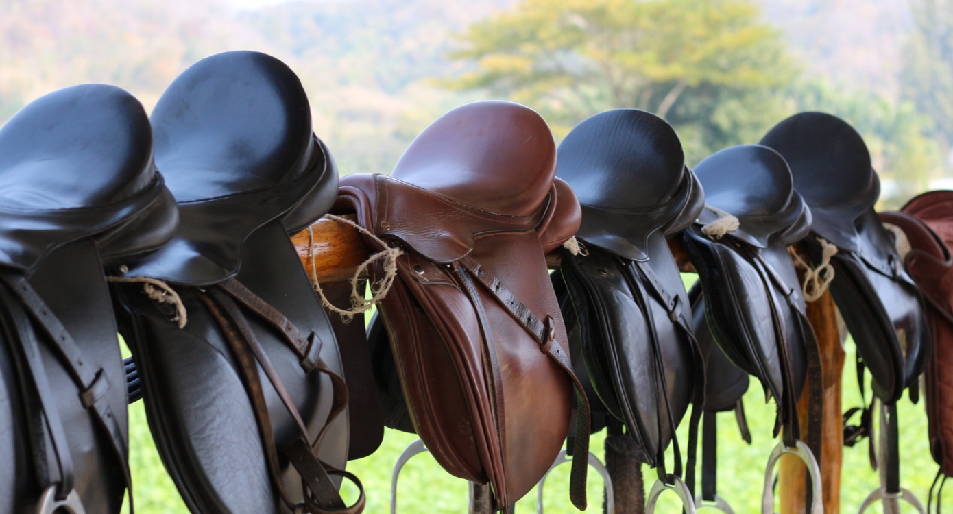 5 Best Saddle Seat Saddles