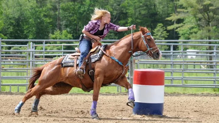 Best gifts for barrel racing lovers