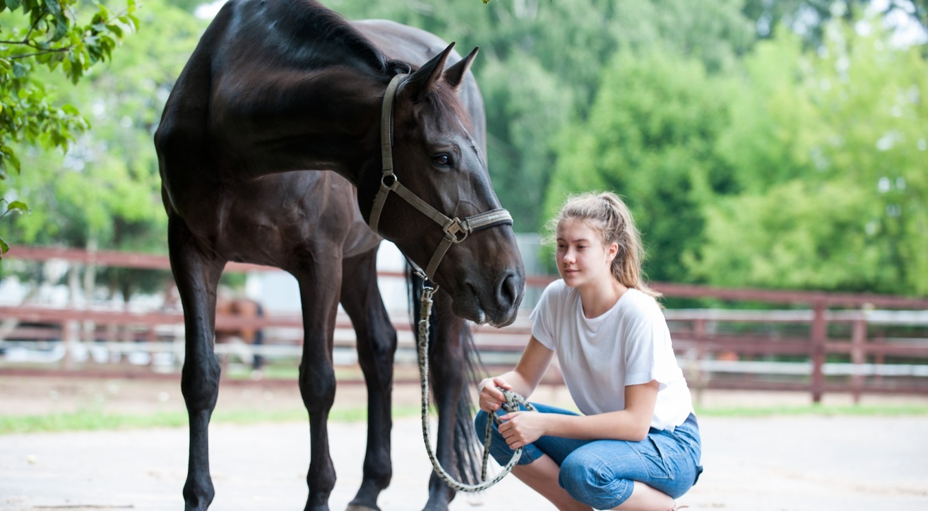30 Best Horsemanship Quotes & Sayings
