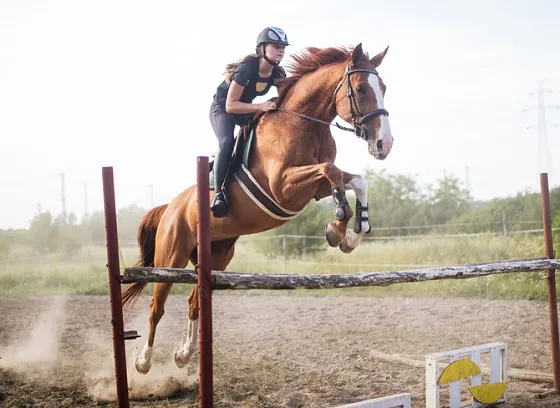 Menina em um cavalo pulando sobre um cavalo pulando cerca