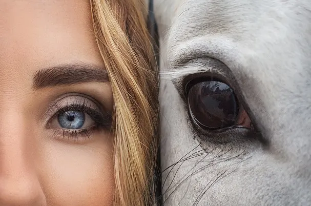Facts about the horse eye. Horse and girl with their heads next to each other looking at the camera