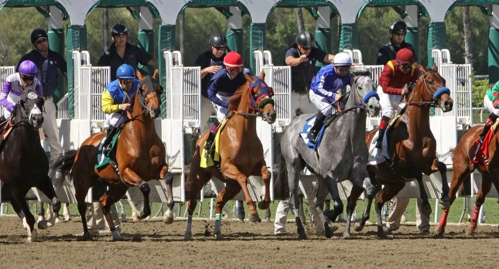 20 Best Kentucky Derby Quotes & Sayings