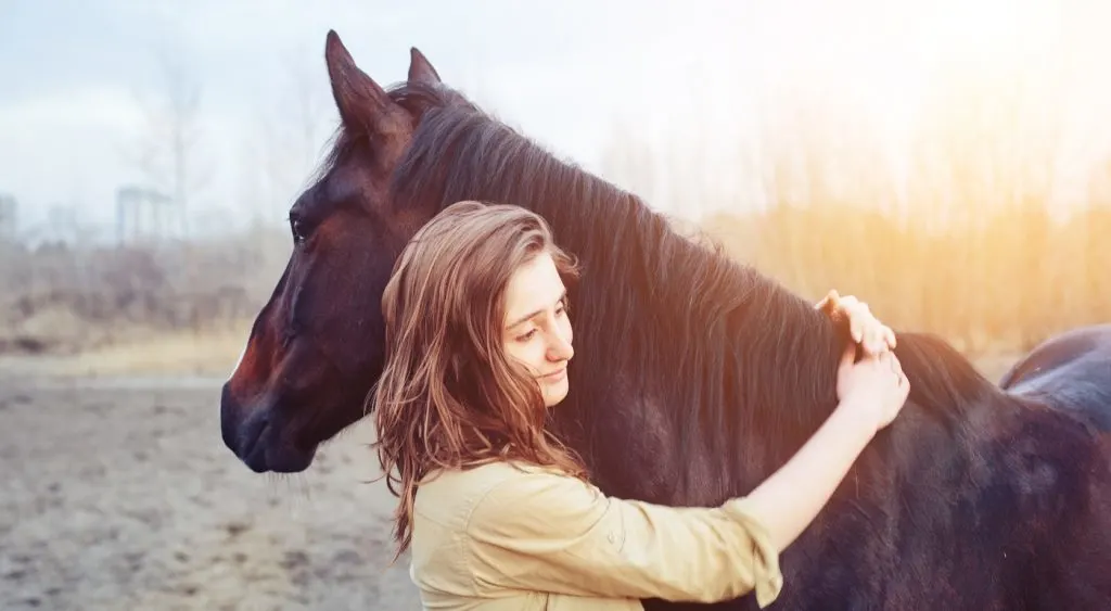 24 Sympathy Quotes After Losing a Horse