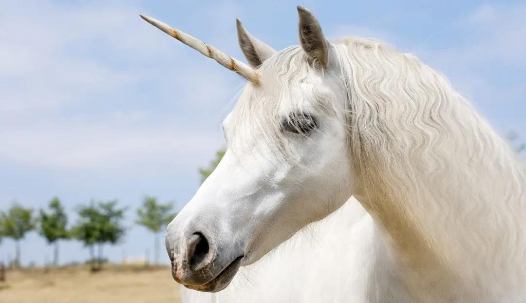 40 cute unicorn quotes sayings to make your day