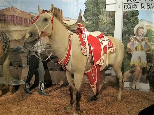 12 Facts About Dale Evans' Horse, Buttermilk