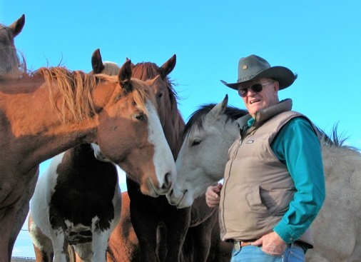 Cowboy Dedicates 11,000 Acres to a Wild Mustang Horse Sanctuary