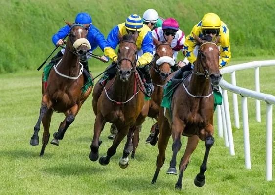 Group of racehorses during a race going round a bend