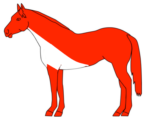 Irish horse clip type