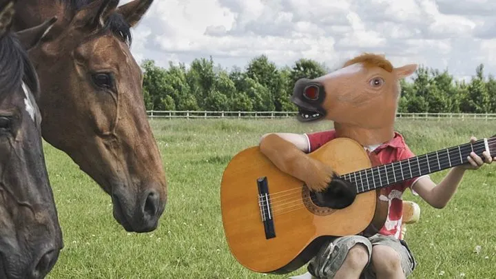 Do horses like music and what type of music do horses like