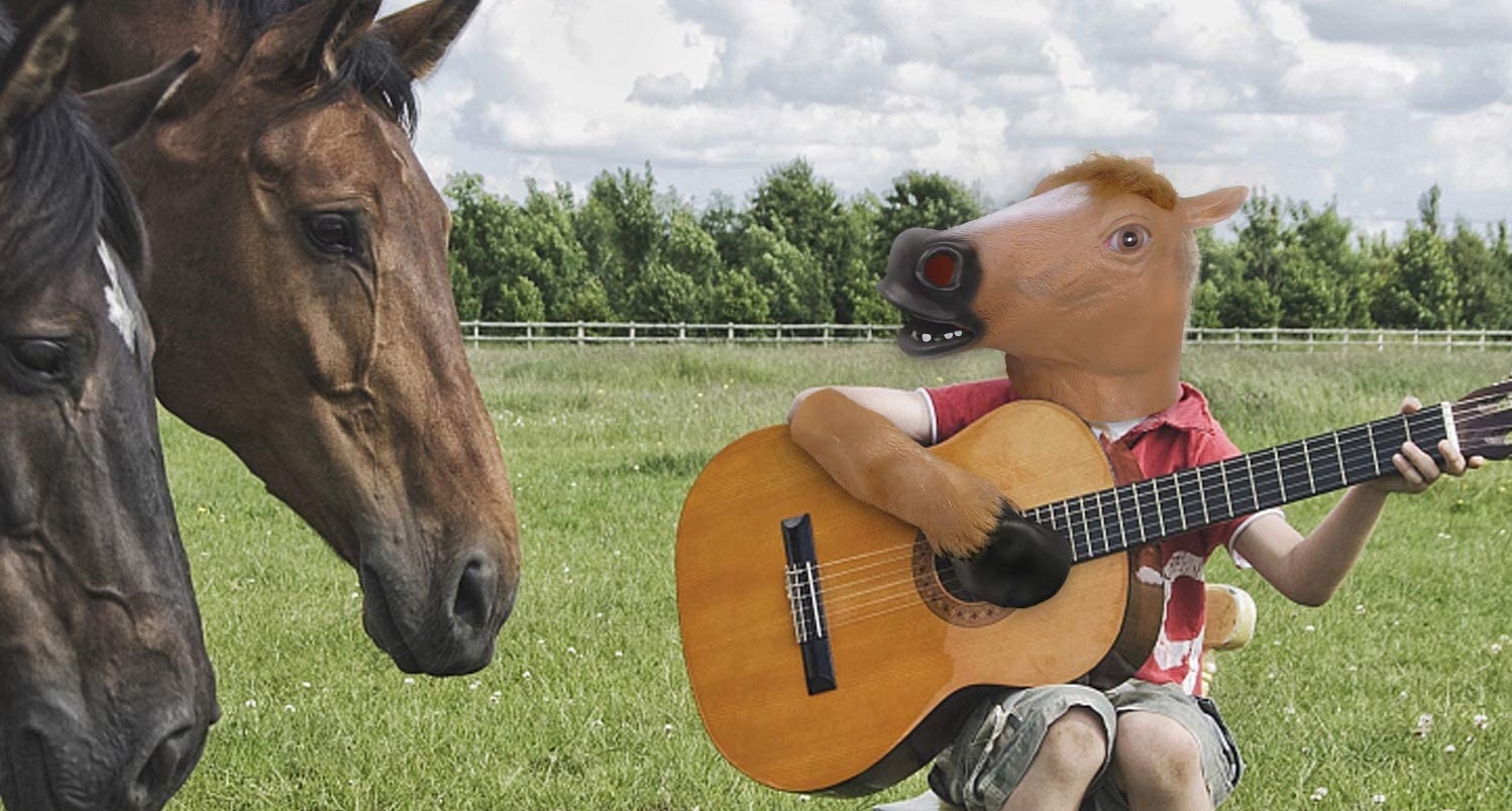 Do horses like music and what type of music do horses like