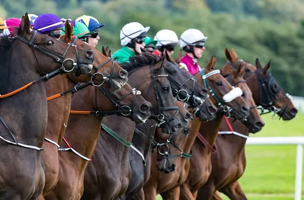 Line of racehorses and jockeys before a race