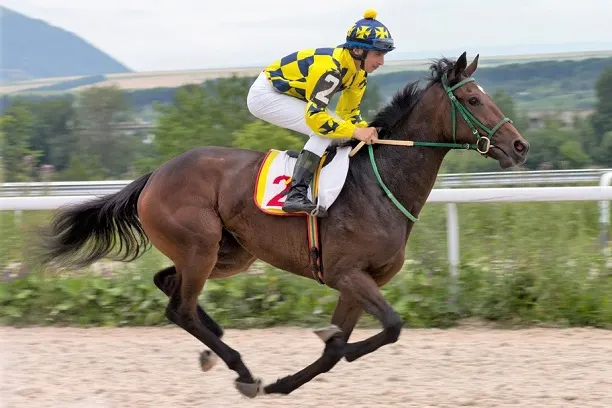 Small jockey racing on a racehorse