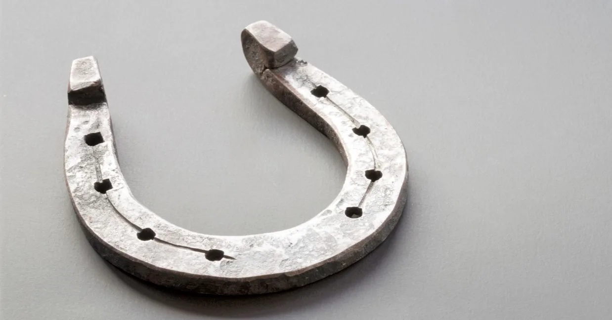 6 Types of Horseshoes & Materials They’re Made From