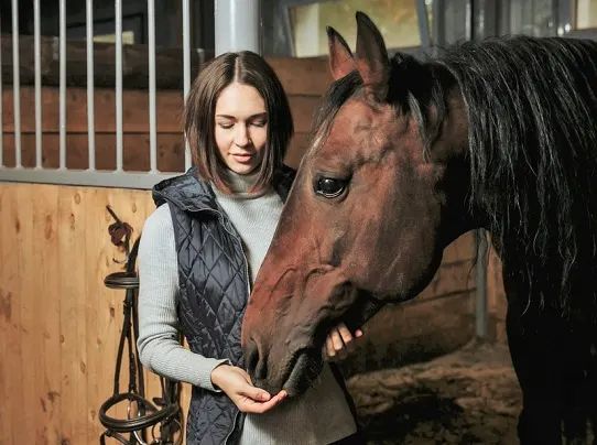Woman with her racehorse at the barn