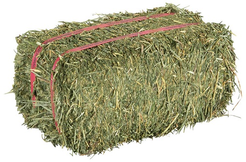Alfalfa hay bale with a white background