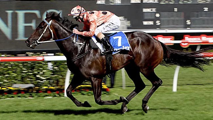Black Caviar racehorse during a race