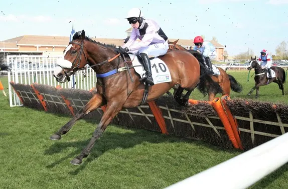 Horse jumping over a fence hurdle in a horse race