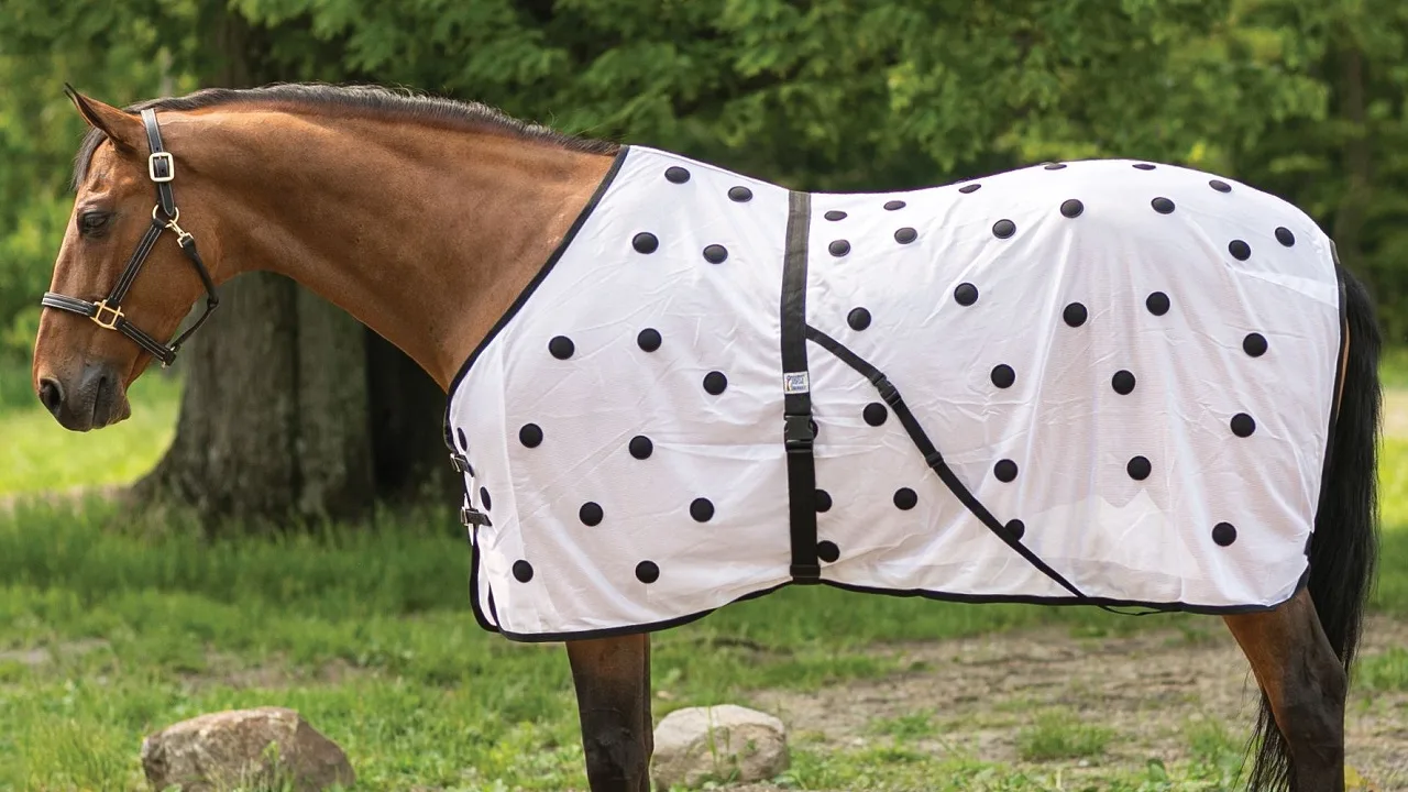 Magnetic Horse Blankets: How They Work, Evidence & Best Products