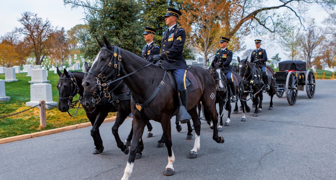 Old Guard Army horses pulling a carriage at Arlington Cemetary