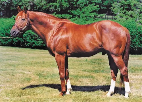 Secretariat, greatest racehorse in history