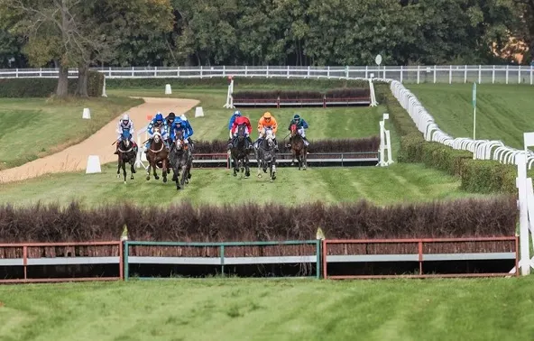 Steeplechase grass horse racing track